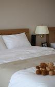 Туры в отель Hotel Aroha