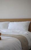 Туры в отель Hotel Aroha