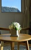 Туры в отель Hotel Aroha