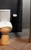 Туры в отель Saka Hotel Medan