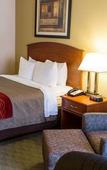 Туры в отель Comfort Inn Hastings