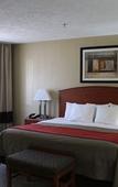 Туры в отель Comfort Inn Hastings