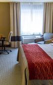 Туры в отель Comfort Inn Hastings
