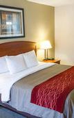 Туры в отель Comfort Inn Hastings