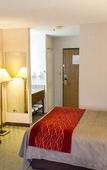 Туры в отель Comfort Inn Hastings