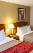 Туры в отель Comfort Inn Hastings