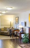 Туры в отель Comfort Inn Hastings