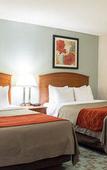 Туры в отель Comfort Inn Hastings