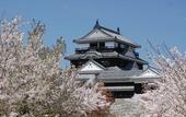 Туры в отель Nest Hotel Matsuyama