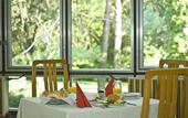 Туры в отель Holiday Hotel Csopak