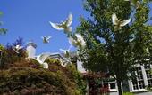 Туры в отель Greenmantle Estate Hotel