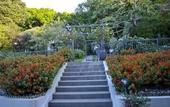 Туры в отель Greenmantle Estate Hotel
