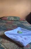 Туры в отель Strathfield Hotel