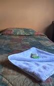 Туры в отель Strathfield Hotel
