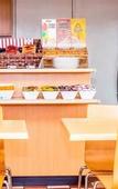 Туры в отель DUBBO BUDGET STAY