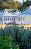 Туры в отель The Convent Hunter Valley Hotel