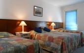Туры в отель Augusta's Georgiana Molloy Motel