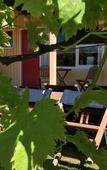 Туры в отель AAA Marlin Motel