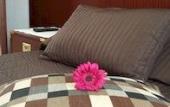 Туры в отель B&B Galleria Frascati