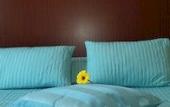Туры в отель B&B Galleria Frascati