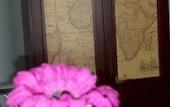 Туры в отель B&B Galleria Frascati