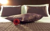 Туры в отель B&B Galleria Frascati