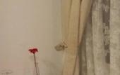 Туры в отель B&B Galleria Frascati