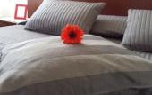 Туры в отель B&B Galleria Frascati