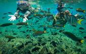 Туры в отель Alunan Resort