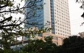 Туры в отель Muong Thanh Grand Cua Lo Hotel