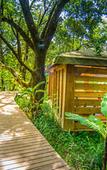 Туры в отель Summerfields Rose Retreat & Spa