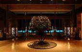 Туры в отель sankara hotel & spa Yakushima
