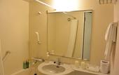 Туры в отель Hotel Hokke Club Niigata Nagaoka