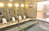 Туры в отель Hotel Hokke Club Niigata Nagaoka