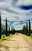 Туры в отель Il Borro - Relais & Chateaux