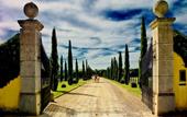 Туры в отель Il Borro - Relais & Chateaux