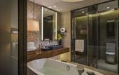 Туры в отель HUALUXE Hotels and Resorts YANGJIANG CITY CENTER