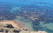 Туры в отель Le Dune Beach