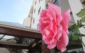 Туры в отель Best Western Plus Paramount Hotel