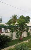 Туры в отель Villa del Pueblo