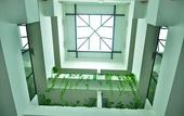 Туры в отель Swan Garden Hotel