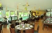 Туры в отель Swan Garden Hotel