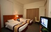 Туры в отель Swan Garden Hotel