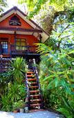 Туры в отель Khao Sok Tree House