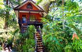 Туры в отель Khao Sok Tree House