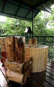 Туры в отель Khao Sok Tree House