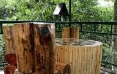 Туры в отель Khao Sok Tree House