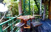 Туры в отель Khao Sok Tree House