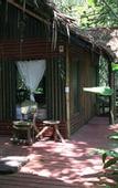 Туры в отель Khao Sok Tree House