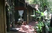 Туры в отель Khao Sok Tree House